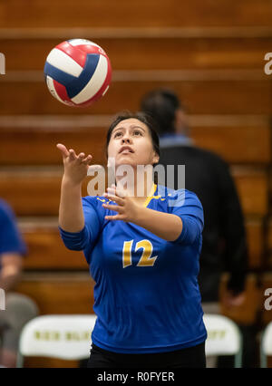 Action de volley-ball avec Quincy contre Hamilton High School à Red Bluff, en Californie. Banque D'Images