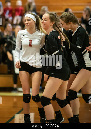 Action de volley-ball avec Quincy contre Hamilton High School à Red Bluff, en Californie. Banque D'Images