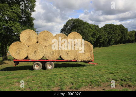 Remorque agricole remplie de foin rondes / bottes de paille dans une campagne anglaise meadow au moment de la récolte, England UK Banque D'Images