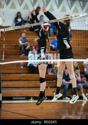 Action de volley-ball avec Quincy contre Hamilton High School à Red Bluff, en Californie. Banque D'Images