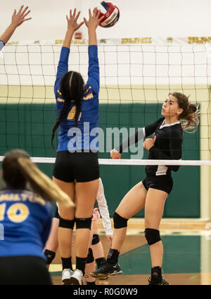 Action de volley-ball avec Quincy contre Hamilton High School à Red Bluff, en Californie. Banque D'Images