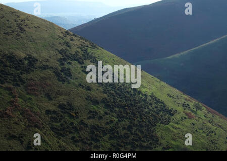 Les pentes abruptes de Ashes Hollow sur le long Mynd, près de Church Stretton dans les collines Shropshire, en Angleterre Banque D'Images