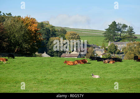 Lumière d'automne à Austwick, Yorkshire du Nord, Angleterre, RU Banque D'Images