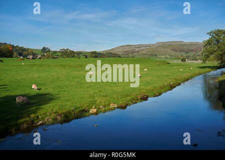 Lumière d'automne à Austwick, Yorkshire du Nord, Angleterre, RU Banque D'Images