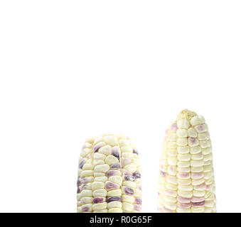 La moitié d'un maïs blanc frais isolé sur fond blanc. Banque D'Images