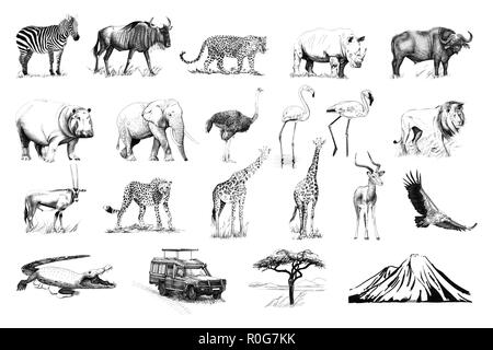 Ensemble de nombreux animaux d'Afrique et en voiture, arbre, mountain hand drawn illustrations (originaux, pas de traces) Banque D'Images