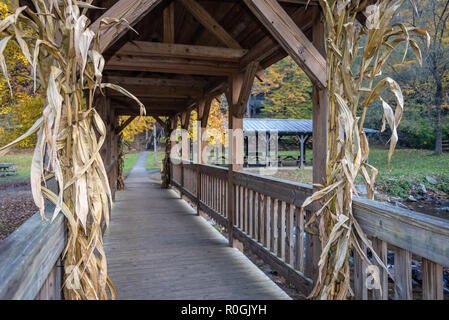 Passerelle sur le ruisseau Wolf au parc d'état de Vogel dans les Blue Ridge Mountains au nord-est de la Géorgie. (USA) Banque D'Images