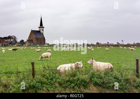 Avis sur Den Hoorn, une petite communauté sur une île des Wadden, Texel, aux Pays-Bas. Il est sundaymorning et personnes visitent l'église avec des voitures garées Banque D'Images