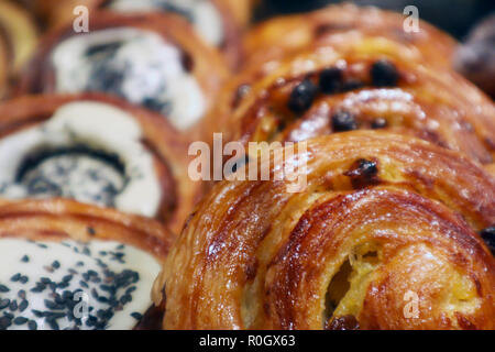 Un certain nombre d'appétissants petits pains roulés aux raisins ruddy dans une vitrine Banque D'Images