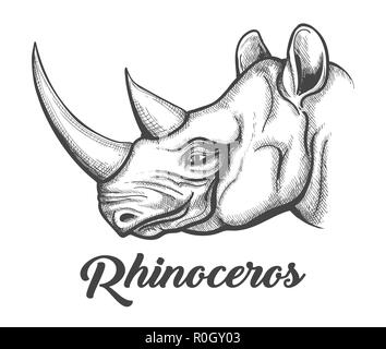 Chef de Rhinoceros tirées dans leur gravure. Vector illustration. Illustration de Vecteur