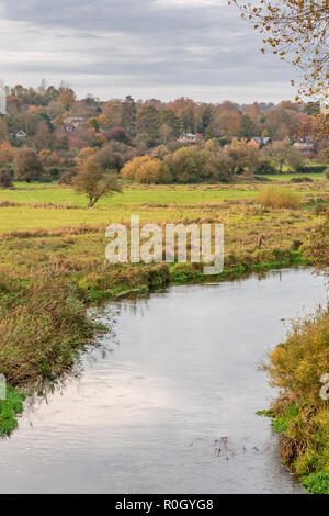 Rivière Itchen près de Winchester dans le Hampshire pendant l'automne, paysage automnal, Angleterre, Royaume-Uni Banque D'Images