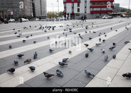 Pigeons sur le Breslauer square à la gare principale, Cologne, Allemagne. Tauben auf dem Breslauer Platz am Hauptbahnhof, Köln, Deutschland. Banque D'Images