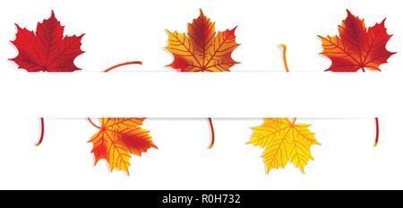 Bannière d'automne avec feuilles d'érable sur fond blanc Illustration de Vecteur