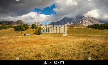 Col Rolle plate-forme en Italie, Alpes Banque D'Images