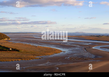 L'estuaire, TAF, Carmarthenshire Carmarthen, West Wales, UK - Banque D'Images