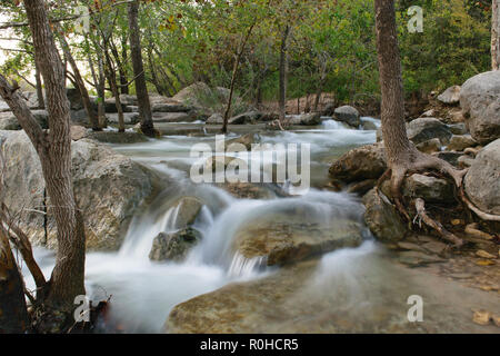 Une belle et calme le long de la cascade de Barton Creek greenbelt randonnée Sentier de randonnée dans la montagne d'Austin, Texas Banque D'Images