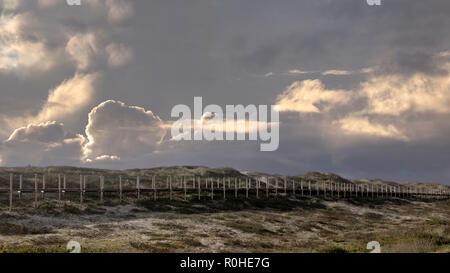 Allée des dunes de sable près de la mer et des plages du nord du Portugal Banque D'Images