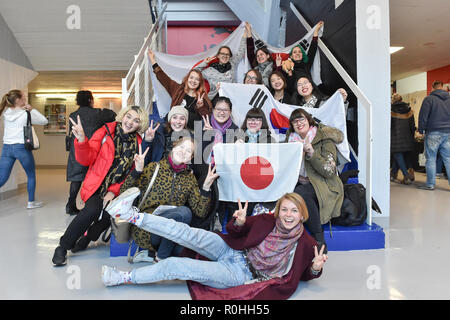 Helsinki, Finlande. 4ème Nov 2018. Les fans pendant les hommes de patinage libre à la finale du Grand Prix de patinage artistique 2018 à Helsinki Helsinki (Helsingin Jaahalli Hall de glace) le dimanche, 04 novembre 2018. HELSINKI . (Usage éditorial uniquement, licence requise pour un usage commercial. Aucune utilisation de pari, de jeux ou d'un seul club/ligue/dvd publications.) Crédit : Taka Wu/Alamy Live News Banque D'Images