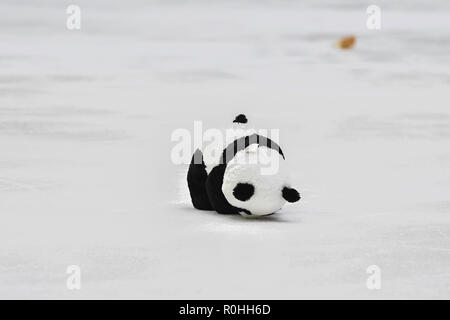 Helsinki, Finlande. 4ème Nov 2018. Un panda était de donner du Japon Yuzuru Hanyu effectue les hommes de patinage libre à la finale du Grand Prix de patinage artistique 2018 à Helsinki Helsinki (Helsingin Jaahalli Hall de glace) le dimanche, 04 novembre 2018. HELSINKI . (Usage éditorial uniquement, licence requise pour un usage commercial. Aucune utilisation de pari, de jeux ou d'un seul club/ligue/dvd publications.) Crédit : Taka Wu/Alamy Live News Banque D'Images