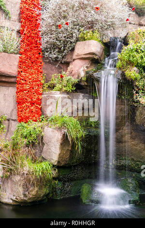 À pied madère cascade à Ramsgate, dans le Kent avec un hommage de coquelicots pour le 100e anniversaire de la fin de la première guerre mondiale. Deux longues de gouttelettes de coquelicots tricoté pendant vers le bas sur les rochers, avec une cascade à côté. Banque D'Images