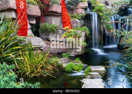 À pied madère cascade à Ramsgate, dans le Kent avec un hommage de coquelicots pour le 100e anniversaire de la fin de la première guerre mondiale. Deux longues de gouttelettes de coquelicots tricoté pendant vers le bas sur les rochers, avec une cascade à côté. Banque D'Images