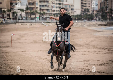 Saïda, Liban. 4ème Nov, 2018. Chevaux et cavaliers à l'Saida festival pour la vitesse, qui a eu lieu au Liban à travers les efforts conjoints de la municipalité de Sidon et l'Ride-Along Club. Plage publique de Saida, Saïda, Liban, 4 novembre 2018 Credit : Elizabeth Fitt/Alamy Live News Banque D'Images