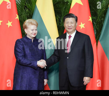 Shanghai, Chine. 5Th Nov, 2018. Le président chinois Xi Jinping (R) rencontre avec le président de la Lituanie, Dalia Grybauskaite à Shanghai, la Chine orientale, le 5 novembre 2018. Credit : Ding Haitao/Xinhua/Alamy Live News Banque D'Images