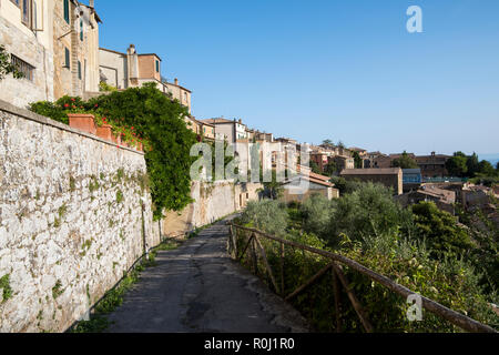 Avis de Montalcino, Val d'Orcia Toscane Italie Europe EU Banque D'Images