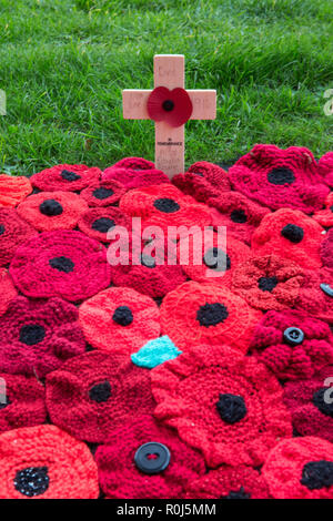 SELBY, NORTH YORKSHIRE, UK - 4 novembre, 2018. Des milliers d'étoffes à mailles coquelicots dans portant sur l'herbe verte à l'extérieur de Selby Abbey avec messages o Banque D'Images