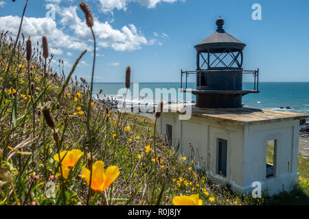 Randonnées la Lost Coast près de phare de Punta Gorda, roi de montagnes, le nord de la Californie Banque D'Images