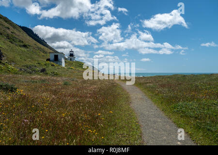 Randonnées la Lost Coast près de phare de Punta Gorda, roi de montagnes, le nord de la Californie Banque D'Images