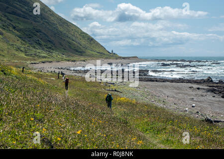 Randonnées la Lost Coast près de phare de Punta Gorda, roi de montagnes, le nord de la Californie Banque D'Images