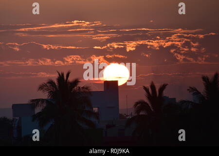 Bon matin voir Banque D'Images