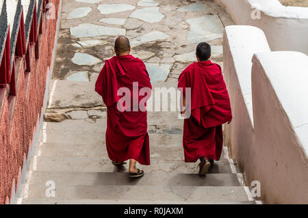 Deux moines vêtus rouge descendant un escalier dans Thiksey Gompa, un des plus importants monastères du Ladakh Banque D'Images