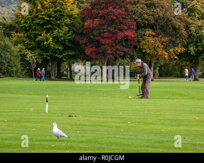 Jouer au croquet, Bakewell Recreation Ground, Bakewell, Derbyshire Banque D'Images