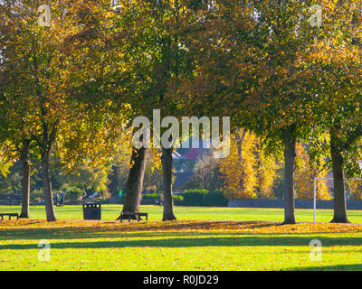 Terrain de jeux, Bakewell, Derbyshire, automne Banque D'Images