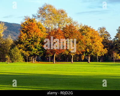 Terrain de jeux, Bakewell, Derbyshire, automne Banque D'Images