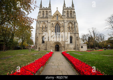 SELBY, NORTH YORKSHIRE, UK - 4 novembre, 2018. L'extérieur de l''abbaye de Selby décorée d'une cascade de pavot pour commémorer le centenaire de LA GRANDE GUERRE Banque D'Images