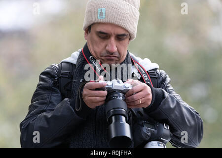 Photographe avec deux caméras regarder des images sur l'écran LCD à l'arrière de son appareil photo Banque D'Images