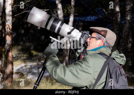 La faune Nature photographe professionnel à l'aide d'un Canon 200-400mm f4 super télé objectif zoom photo l'extérieur Banque D'Images