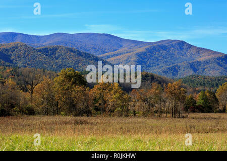 Couleurs d'automne dans la région de Great Smoky Mountains National Park Banque D'Images