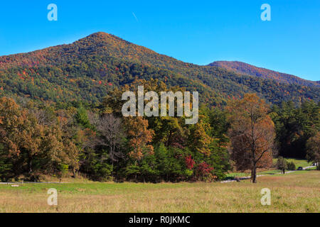 Couleurs d'automne dans la région de Great Smoky Mountains National Park Banque D'Images