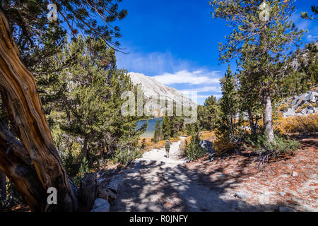 Sentier de randonnée pédestre à la suite de la rive du lac Long, peu de lacs Valley Trail, John Muir wilderness, est de la Sierra montagnes, Californie Banque D'Images