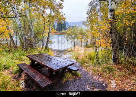 Table de pique-nique près de la rive du lac Crystal dans la boucle du lac juin zone sur un jour d'automne pluvieux, colorées de peuplier faux-tremble et du lac dans la b Banque D'Images