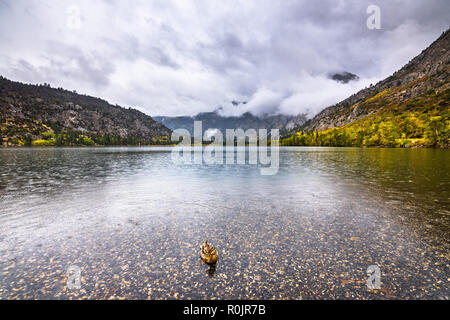 Silver Lake sur un jour d'automne pluvieux ; June Lake, l'Est de la Sierra montagnes, Californie Banque D'Images