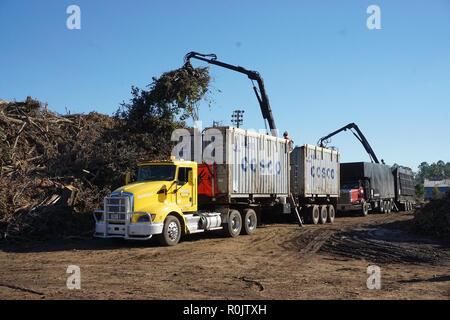 Les pilotes utilisent les grues à flèche articulée pour décharger les débris des camions à un débris temporaire mise en scène et site de réduction dans Dougherty Comté (Géorgie). L'Army Corps of Engineers des États-Unis ainsi que des représentants des gouvernements locaux, a commencé l'activité de l'enlèvement des débris en Géorgie, sous la direction de la Géorgie en matière de gestion des urgences et de la Sécurité intérieure (GEMA/SH) et les organismes de gestion des urgences fédérales (FEMA) dans le cadre de la mission de débris de la FEMA. Banque D'Images