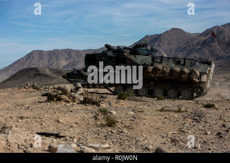 Les Marines américains avec la société C., 1er Bataillon, 8e Régiment de Marines, 2e Division de marines, défendre leur position avec l'aide de Marines avec 3e Bataillon du véhicule d'assaut amphibie, 1 Division de marines, pendant l'exercice de formation intégrée (ITX) 1-19 sur Twentynine Palms, Californie, le 28 octobre 2018. Marines avec l'unité a participé à l'assaut mécanisé au cours de l'ITX 1-19 de contester leur capacité de se défendre et de mener une contre-attaque contre un ennemi avec l'aide de véhicules d'assaut amphibie. (U.S. Marine Corps photo par Lance Cpl. Tyler M. Solak) Banque D'Images