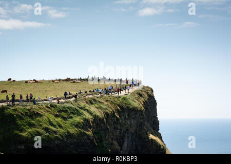 Beaucoup de touristes marchant sur une journée ensoleillée sur les falaises de Moher, Irlande Banque D'Images