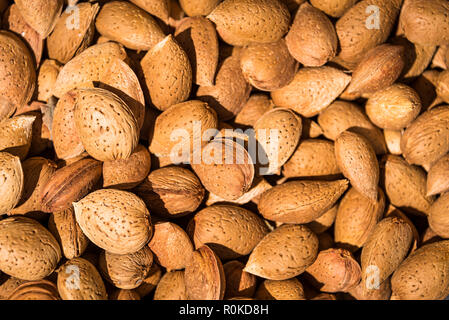Amandes fraîches en un mot cultivée en Sicile Banque D'Images