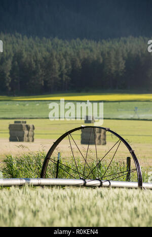 La ligne de l'irrigation sur une ferme dans l'Oregon est Wallowa Valley. Banque D'Images